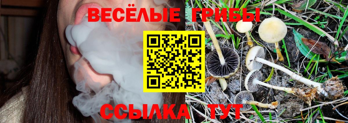 Ногинск  Галлюциногенные грибы мицелий  Псилоцибиновые грибы мухоморы  Вход с VPN 